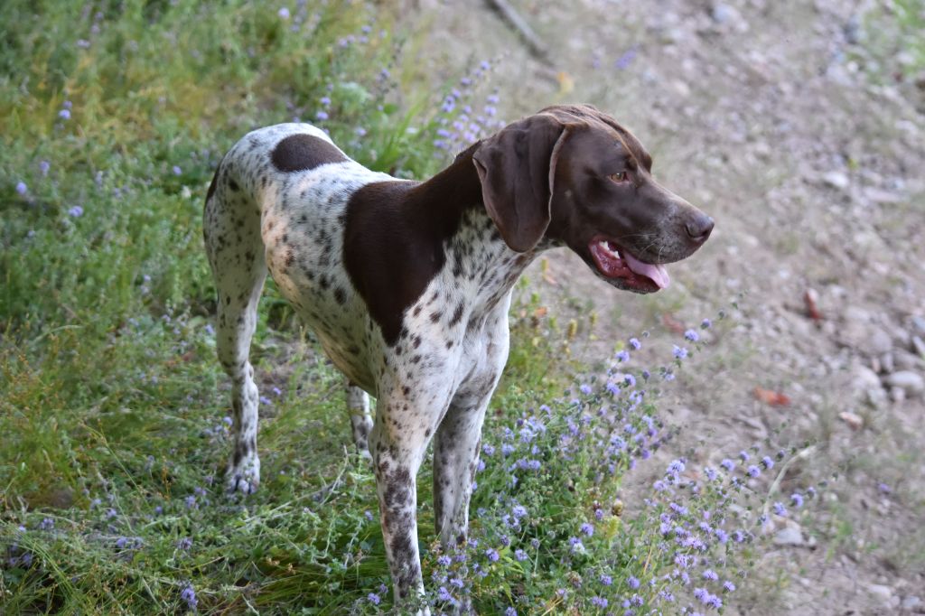 Penny Des Bories D'Aillac