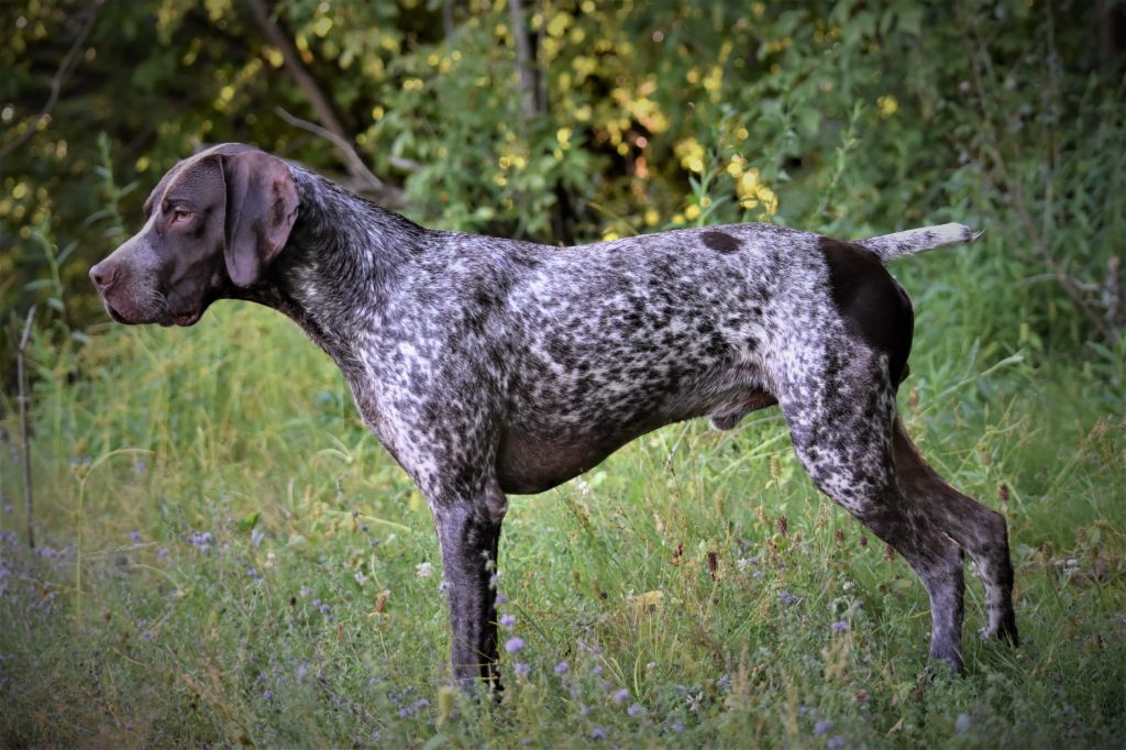 Petrus (Sans Affixe)